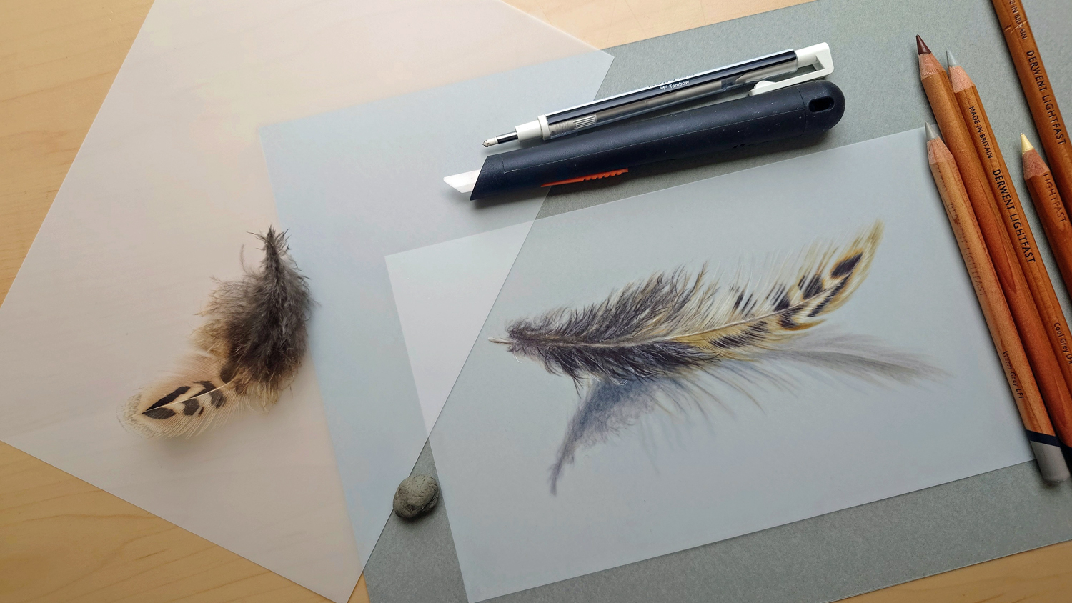 Oct 2025 Heidi Photo 3 Feather Study Drafting Film