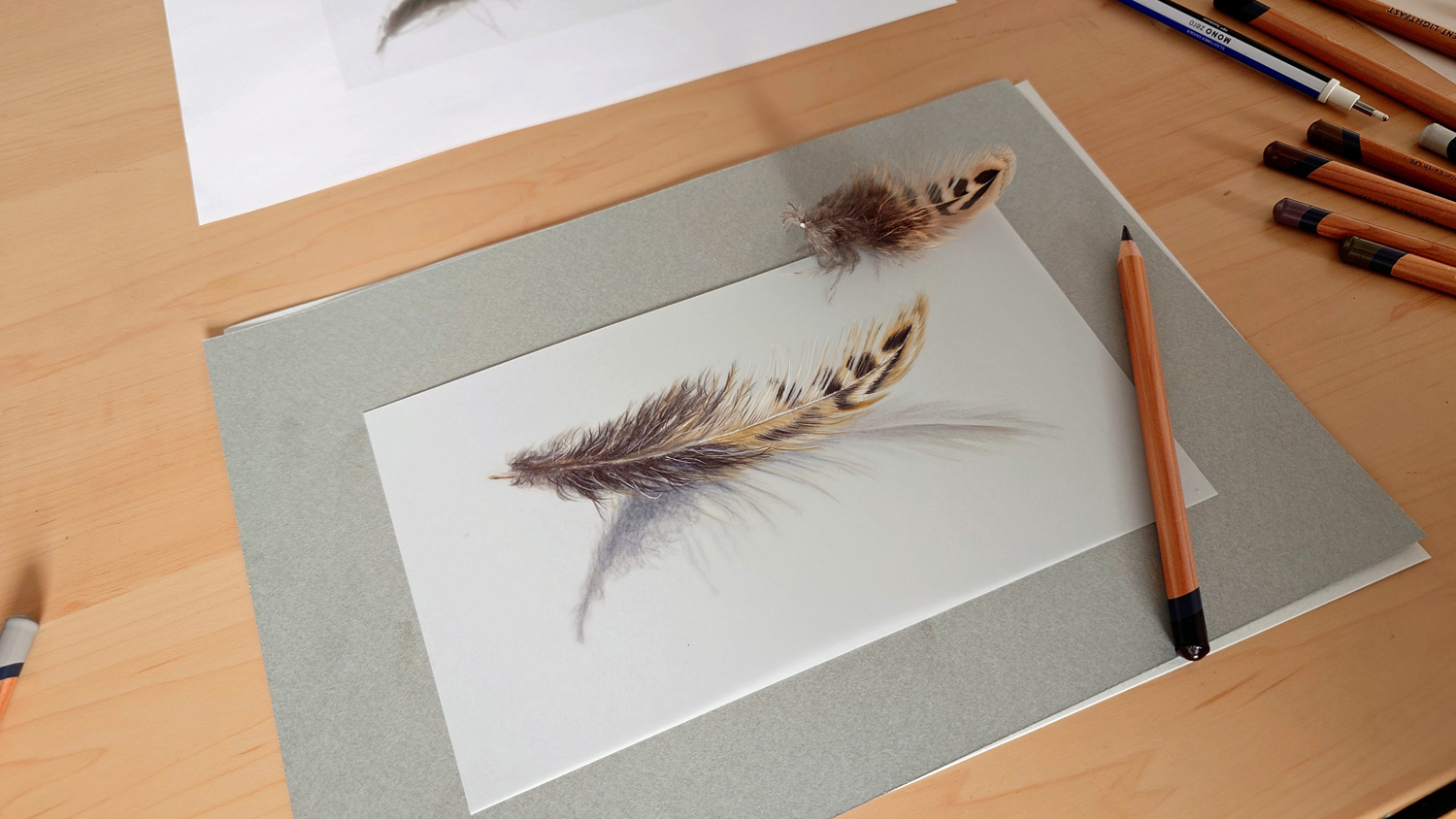 Oct 2025 Heidi Photo 4 Feather Study Drafting Film