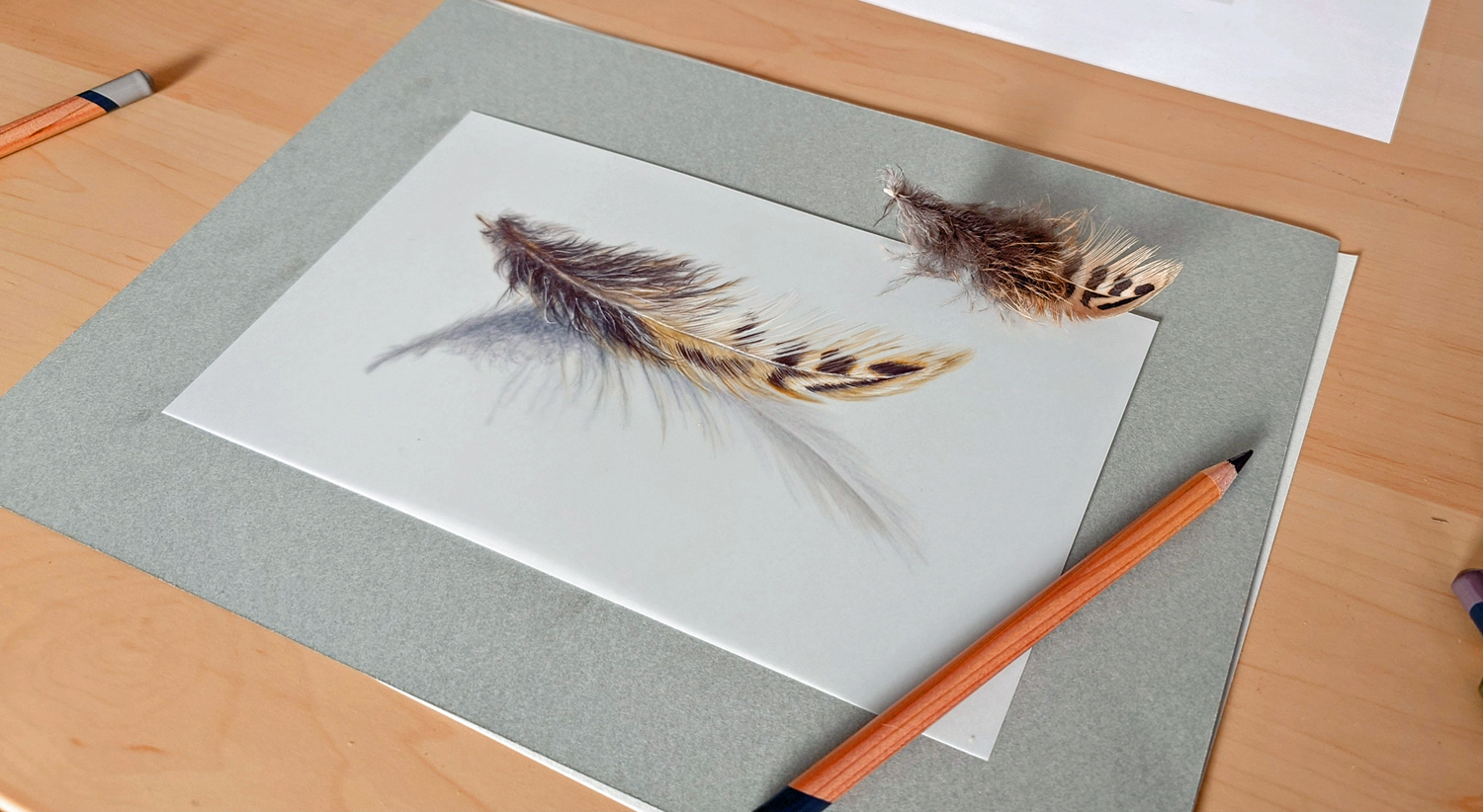 Oct 2025 Heidi Photo 5 Feather Study Drafting Film