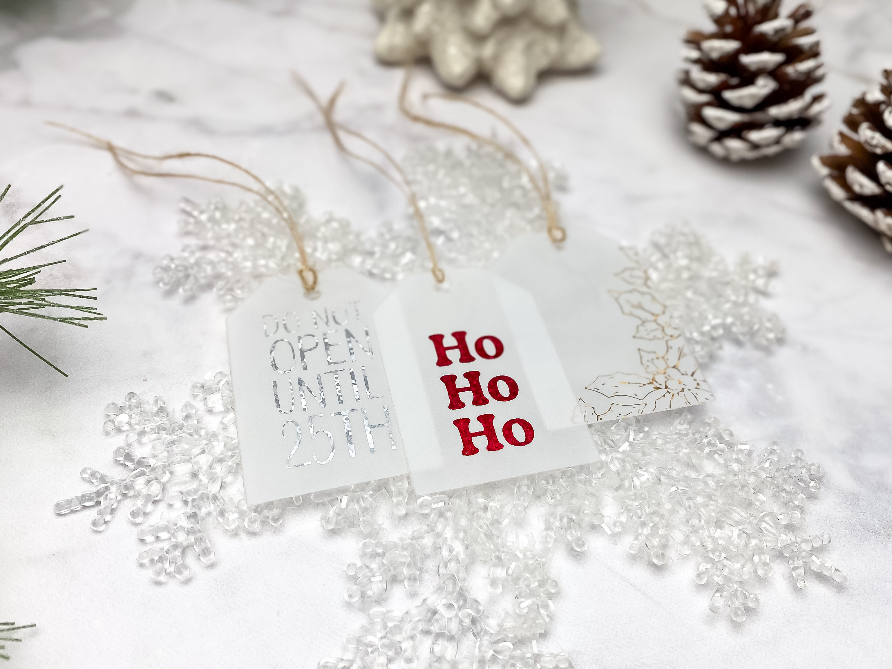 Dec 2025 Dana Reusable Tags DM Photo 1