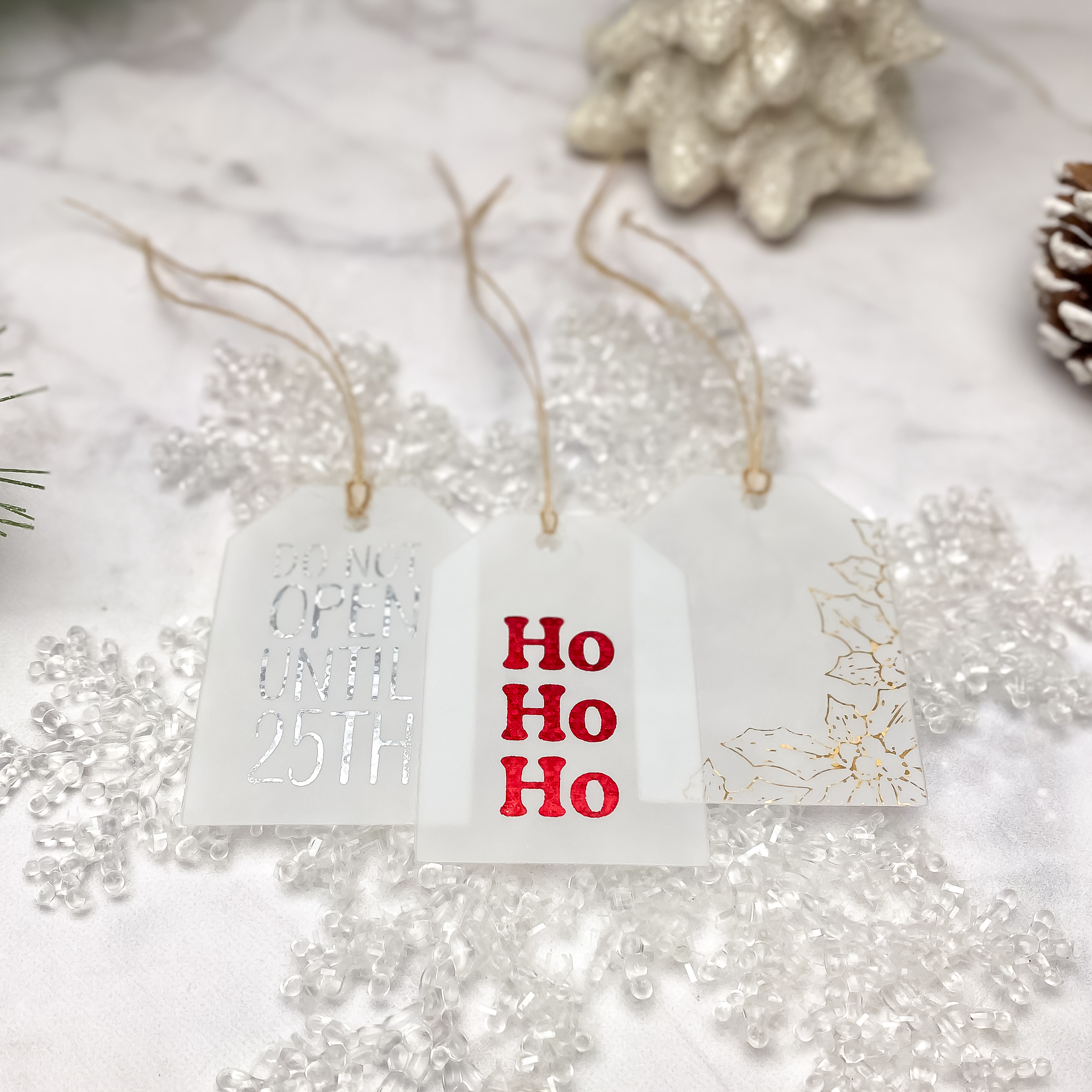 Dec 2025 Dana Reusable Tags DM Photo 3