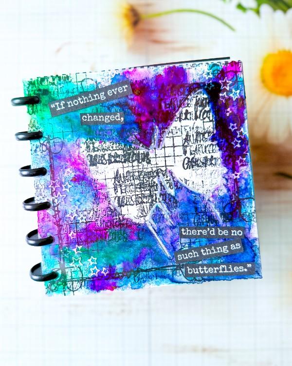 December-2025-Laura-Photo-1-MMJ-AT-OW_edited