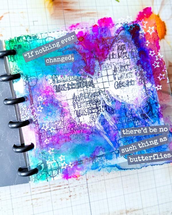 December-2025-Laura-Photo-3-MMJ-AT-OW_edited