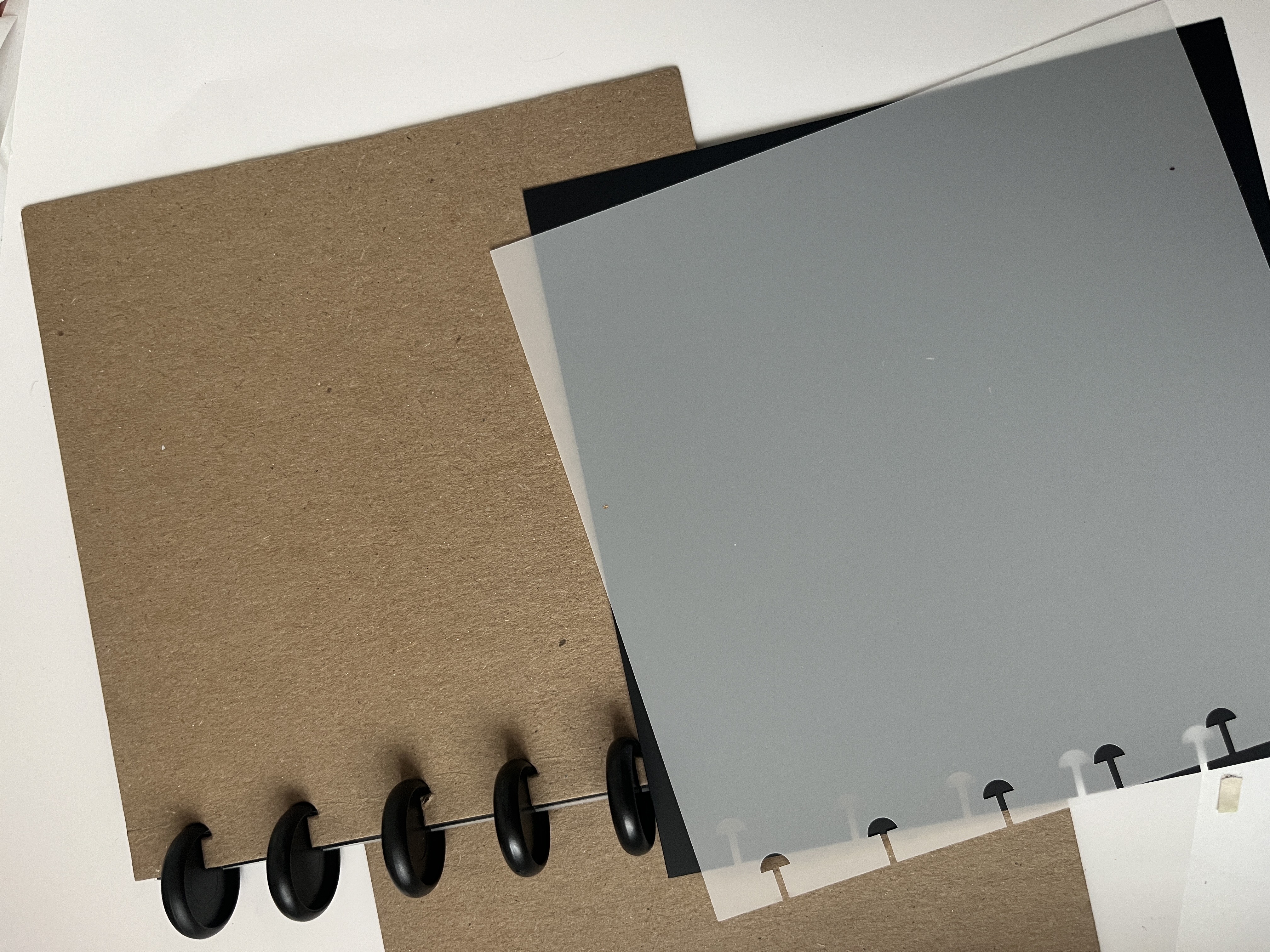 Jan 2026 Shemi Journal Page MMJ,AT,CGM Photo 2