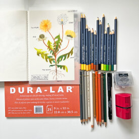 Dandelions on Matte Dura-Lar