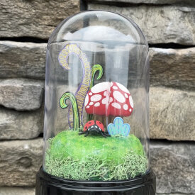 Shrink Mushroom Terrariums