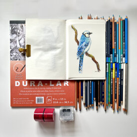 Blue Jay Colored Pencil Drawing on Matte Dura-Lar