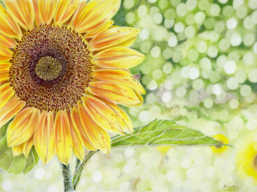 February 2025 Sunflower on Matte Dura-Lar